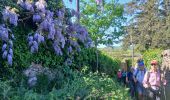 Trail Walking Saint-Laurent-d'Agny - 69-CHAPELLE_VINCENT_20km555m - Photo 7