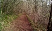 Trail Walking Beaumontois en Périgord - Beaumont 20km - Photo 4