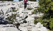 Trail Walking Solliès-Toucas - Siou Blanc - Photo 7