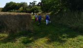 Trail Walking Andenne - Seilles - Photo 7