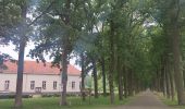 Trail Walking Hoogstraten - Wortel-Kolonie  - Photo 15