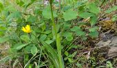 Tour Wandern Rigaud - Mairola de Rigaud, chapelles St Julien et St Sauveur - Photo 2