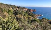 Tour Wandern Saint-Raphaël - ND d'Afrique et le palais bulle depuis la gare du Trayas - Photo 1