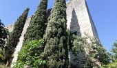 Trail Walking Montclus - montclus et bord de ceze - Photo 7