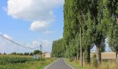 Percorso A piedi Staňkov - Naučná stezka Po stopách Jiráskovy Lucerny - Photo 3