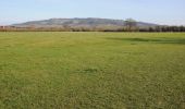 Excursión A pie Wychavon - Eckington Wharf Circular Walk - Photo 4