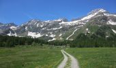 Randonnée A pied Baceno - H99 - Alpe Devero - Passo di Valtendra - Photo 7