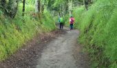 Tour Wandern Monterroso - Arrêté Melide - Photo 4