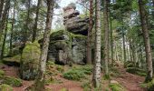 Trail Walking Dabo - col de la schlief - Photo 3