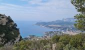 Tocht Stappen La Ciotat - soubeyrannes  aller retour - Photo 11