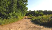 Trail Walking Choisy-au-Bac - en forêt de Laigue_7_06_2020_sur les routes de la Fontaine à Baril_Belle Assise_Plessis-Brion_chemin de Voie d'Eau - Photo 2
