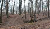 Trail Walking Baelen - 2022.03.05 ENEO Membach Perkierts - Photo 8