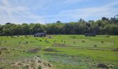 Trail Walking Plan-d'Aups-Sainte-Baume - Plan d'Aups-Sainte Baume - Photo 11