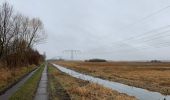 Tour Zu Fuß Blankenfelde-Mahlow - Rundwanderweg Schwanensee - Photo 3