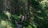 Trail Walking Ceillac - De Chaurionde au lac Saint Anne - Photo 6