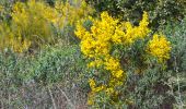 Tour Wandern Le Castellet - SityTrail - 2361987 - begude - Photo 5