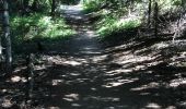 Trail Walking Uvernet-Fours - Le rocher Jaumas - Photo 1