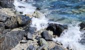 Tour Wandern La Seyne-sur-Mer - Fabregas, parking des bœufs, plage des nudistes, notre dans de mai - Photo 4