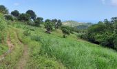 Tour Wandern Le Morne-Vert - Trace Ti Jadin - Photo 17