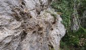 Trail Walking Belcodène - La grotte du tonneau - Photo 3