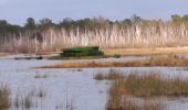 Randonnée Marche Carcans - çanal des etangs - Photo 1