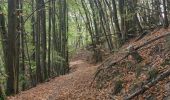 Trail Walking Eguisheim - Rando des cinq châteaux  - Photo 17