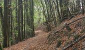 Tocht Stappen Eguisheim - Rando des cinq châteaux  - Photo 17