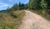 Randonnée Randonnée équestre Orbey - Orbey- Sainte Marie aux mines - Photo 10