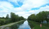 Randonnée Marche Rochefort-sur-Nenon - Rochefort à Dole par Canal AR - Photo 3