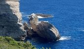 Tour Wandern Bonifacio - plages des calanques et phare - Photo 7