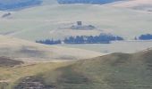 Randonnée Marche Mont-Dore - Puy de Sancy - Photo 4