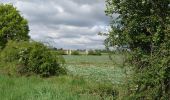 Tour Wandern Fondettes - Fondettes - Sentier Aubrière-Gâtine - 9.6km 110m 2h00 - 2019 05 05 - Photo 3