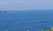 Tour Wandern Ramatuelle - Ramatuelle - de Bonne Terrasse au Rocher des Portes en passant par le phare - Photo 15