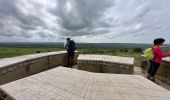 Trail Walking Escalles -  Cap Blanc Nez-Wissant-mont de Couple 25 km - Photo 11