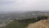 Tour Wandern Le Poët-en-Percip - montagne de Banne  - Photo 2