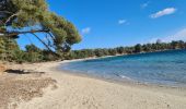 Excursión Senderismo La Londe-les-Maures - La Londe - L'argentiere vers le Pellegrin - Photo 17