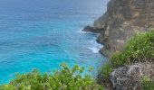 Trail Trail Port-Louis - Anse Bertrand massious porte d’enfer - Photo 11
