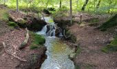 Trail Walking Spa - les eaux au sud de Spa  - Photo 15