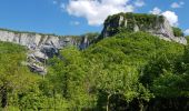 Tour Wandern Arbois - Roche du Feu Arbois - Photo 9