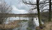 Tour Wandern Woensdrecht - Volksabdij Kalmthout 14,8 km - Photo 9