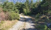 Tocht Stappen Saint-André-d'Embrun - Boucle lac de Siguret et Chapelle Saint Roch - Photo 5