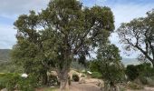 Excursión Senderismo La Londe-les-Maures - Dolmen de Gautabry par le vallon de Tamary - Photo 3