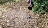 Trail Walking Plougrescant - 2023 RA Bretagne costarmoricaine Plougrescant - Trévou - Photo 19