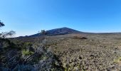 Trail Walking Sainte-Rose - Piton de la Fournaise (cratère Dolomieu) - Piton Partage - Photo 14