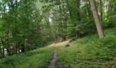 Trail Walking Liège - ile Rousseau . pré de tilff    A/R - Photo 4