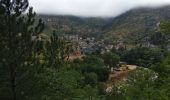 Excursión Senderismo Gorges du Tarn Causses - ste enimie - la Malene - Photo 3