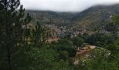 Tour Wandern Gorges du Tarn Causses - ste enimie - la Malene - Photo 3