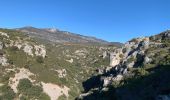 Trail Walking Montpeyroux - Le Barry Castellas  - Photo 3