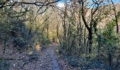 Tour Wandern Aubignas - Aubignas Chenavari 16km - Photo 9