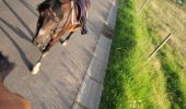 Tocht Paardrijden Grâce-Hollogne - aurelie  - Photo 5